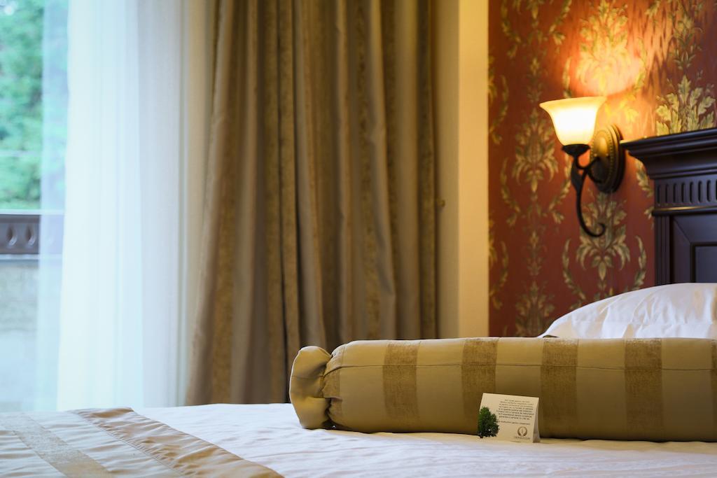 Hotel Foisorul Cu Flori Sinaia Rum bild